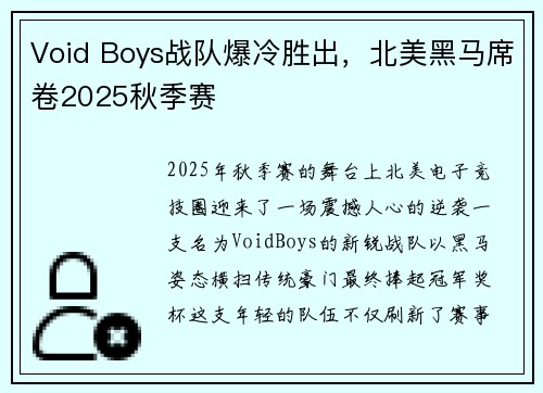 Void Boys战队爆冷胜出，北美黑马席卷2025秋季赛